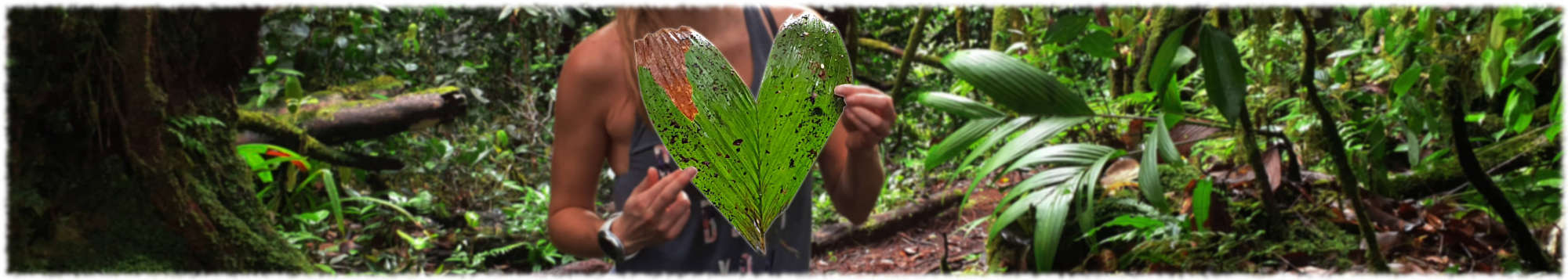 Heart leaf banner - Beyond Keto