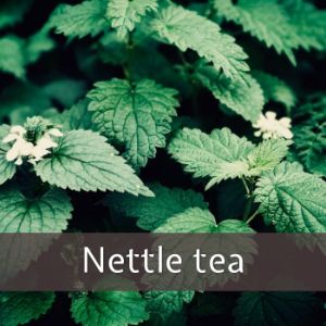 Nettle Leaf Tea benefits - Beyond Keto